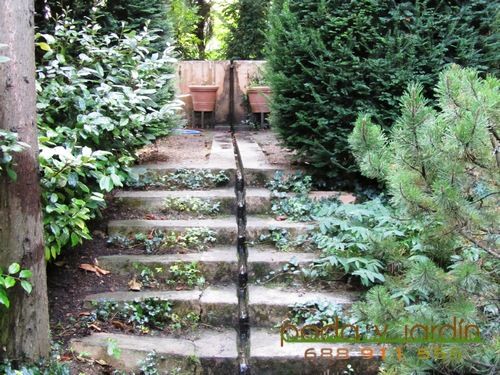 blog de jardinería blog de jardinería