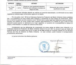 informe y licencia poda